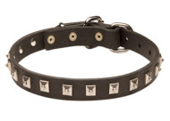 New leather dog collar 25mm wide Exclusive Design- "Caterpillar" 1 ROW Nickel Studs