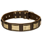 Gorgeous New Design Leather Dog Collar Brass Plates - C88 Gorgeous New Design Leather Dog Collar Brass Plates - C88