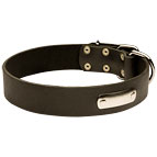 Leather dog collar with id tag - C456