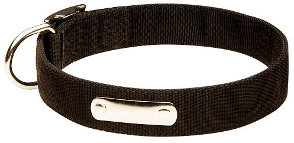 All Weather 2 Ply Nylon Dog Collar with name tag