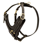 Exclusive Luxury Handcrafted Padded Leather Dog Harness - H10