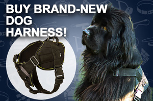 Nylon Dog Harness