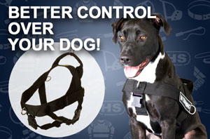 Nylon dog harness