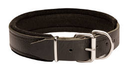 Padded Leather dog collar - C24 1.5 inch (3.8cm) width