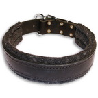Padded Leather dog collar - C24 1 inch (2.5cm) width