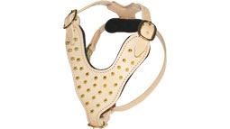 Brass Spiked Walking dog harness made of leather And Created To Fit Pitbull and similar breeds - product code H9-Brass