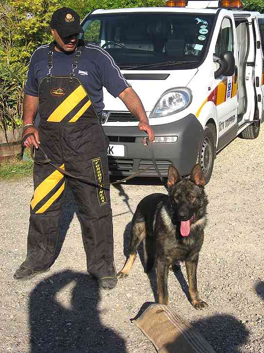 Protection Scratch Pants for Dog Training