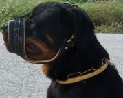 Mpouas got exquisite Curogan Martingale Fur Saver Dog Collar - 51614 (67) ( Made in Germany )