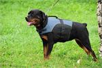 30% Discount - NEW 2009 All Season Extra Strong Nylon Vest Dog Harness for Rottweiler- H13-Outdoor