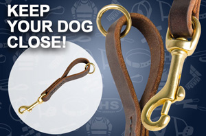 Leather dog leash