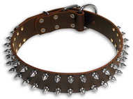 Walking and Training Smooth Spiked Leather Canine Collar Walking and Training Smooth Spiked Leather Canine Collar