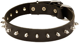 Spiked-leather-dog-collar-S33S-is%20the-