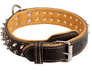 Creative design of leather dog collar with 2 rows of nickel-plated spikes Creative design of leather dog collar with 2 rows of nickel-plated spikes