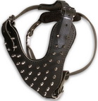 Spiked leather dog harness - H9