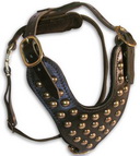 Studded leather dog harness - H15