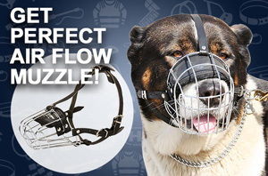 Wire basket muzzle