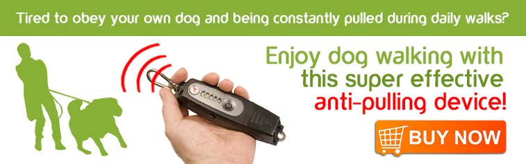Stop-your-dog-pulling-US2
