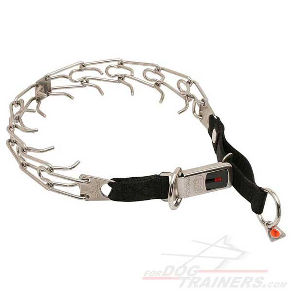 Pinch Collar For Small Dogs Pinch Collar For Small Dogs