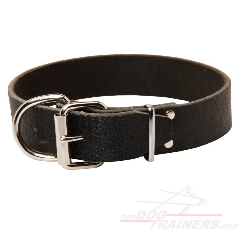 Leather dog collar - c4- 1.5 inch (3.8cm) width [C4###1073 ...