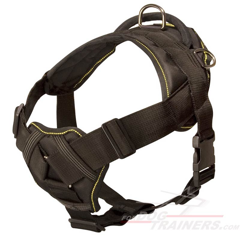 http://www.fordogtrainers.com/images/dog-harnesses/Nylon-dog-harness-multifunctional-big.jpg