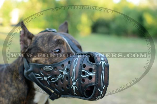 Hand Painted Leather Dog Muzzle for Dogs
