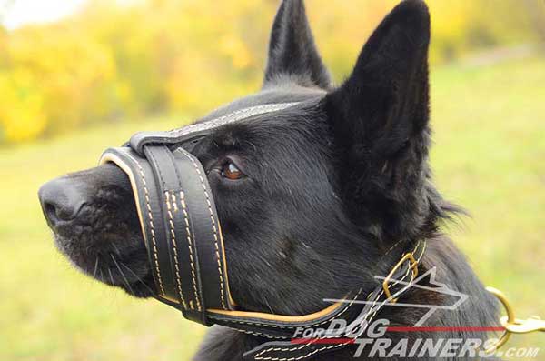 Padded Leather Muzzle for GSD