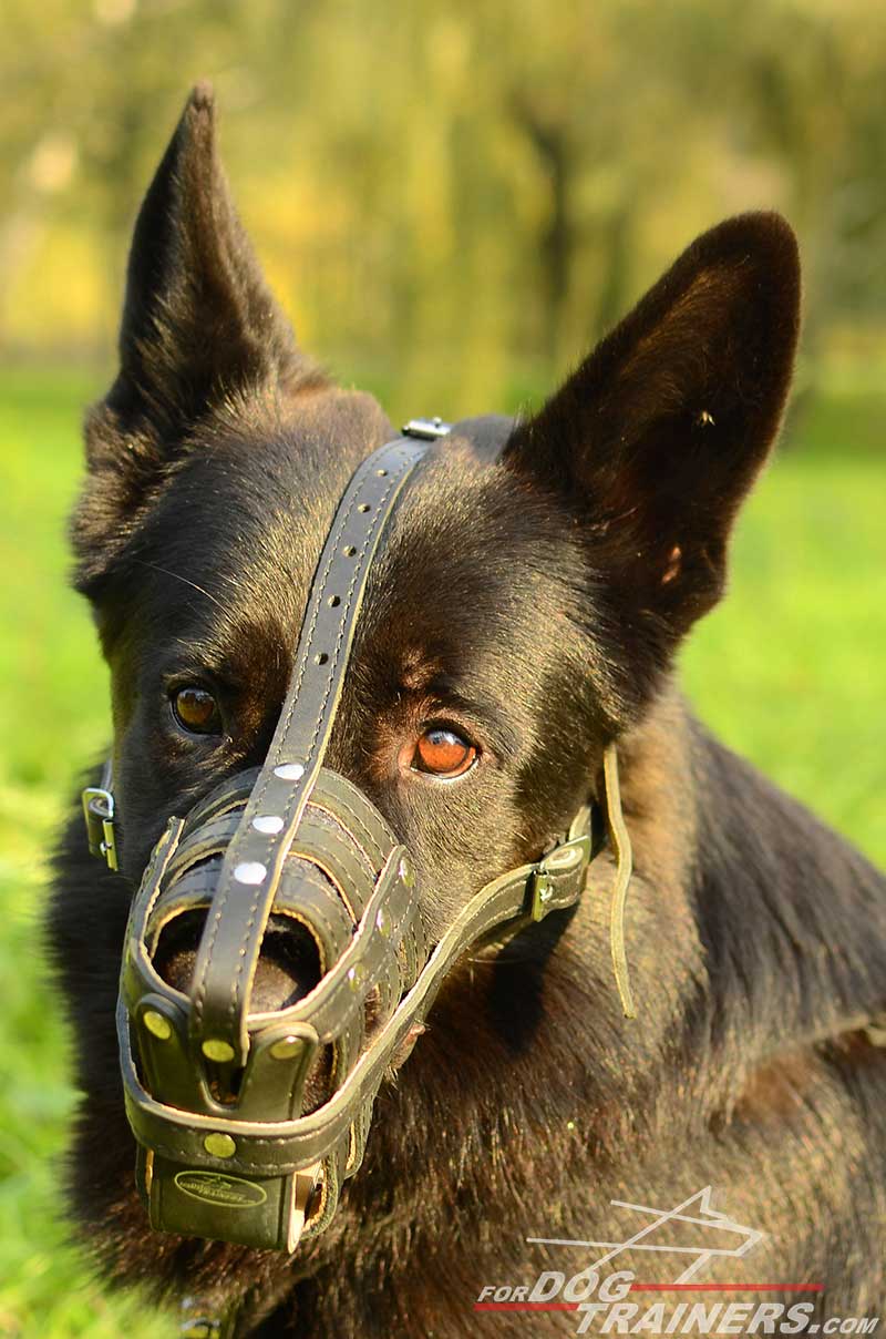 Lightweight Breathable Royal Basket Leather German Shepherd Muzzle