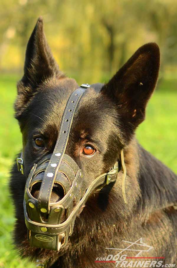  Breathable Royal German Shepherd Muzzle Padded Inside
