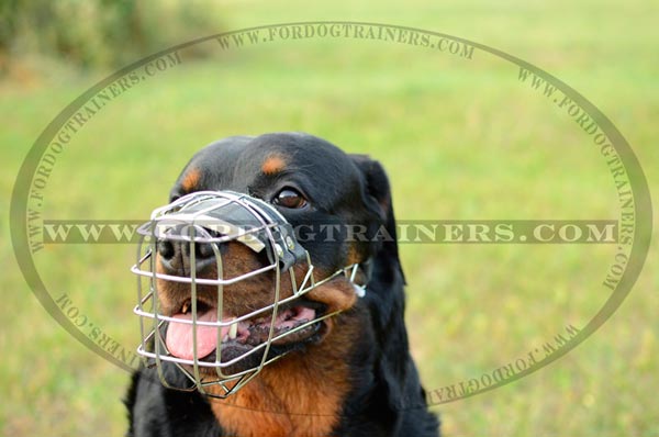 Metal Basket Dog Muzzle for Easy Breathing