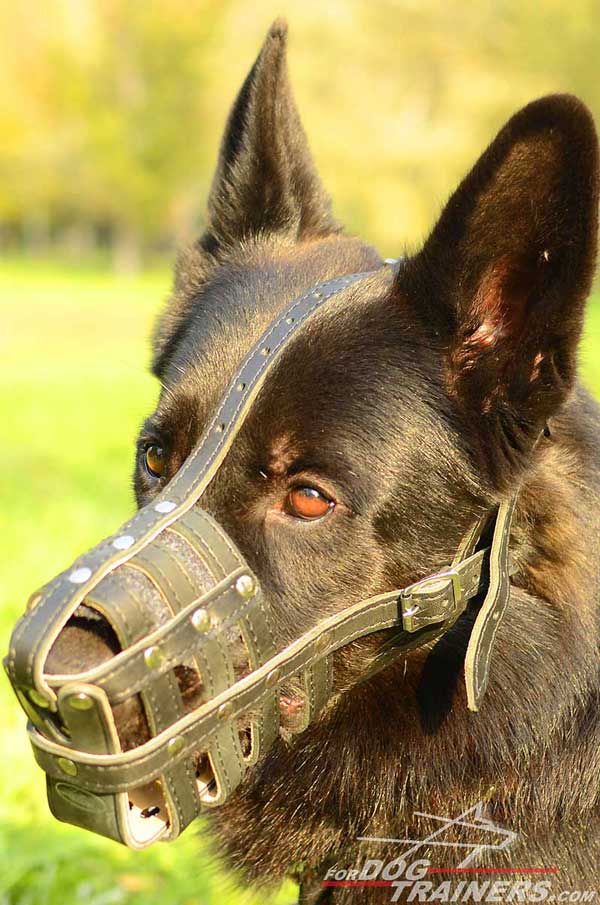 Cage Design Leather Dog Muzzle