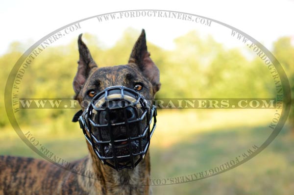 Metal Basket Muzzle for Dogs