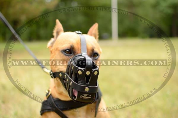 Well-ventilated Leather Dog Muzzle with Adjustable Straps
