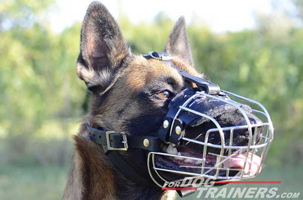 Well-Ventilated Metal Dog Muzzle