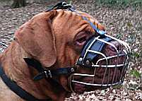 Dogue De Bordeaux Basket Wire Dog Muzzle  - M4-Ray