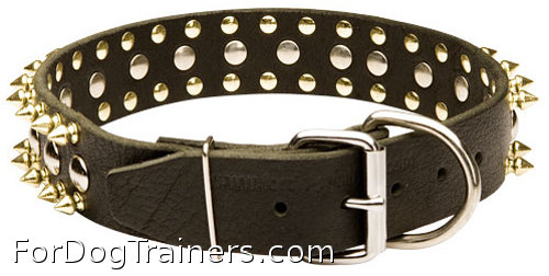Spiked and studded dog collar