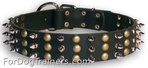 Black leather dog collar with spikes and studds