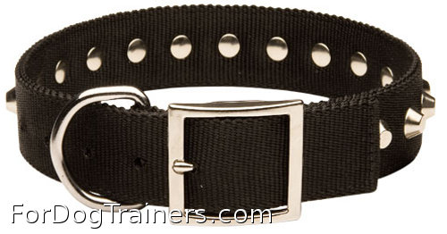 All weather nylon dog collar
