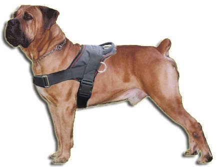 Boerboel Nylon multi-purpose dog harness pulling-Boerboel Mastiff