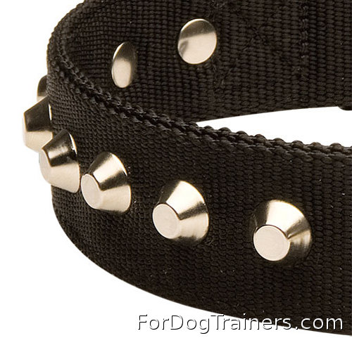 Best nylon dog collar