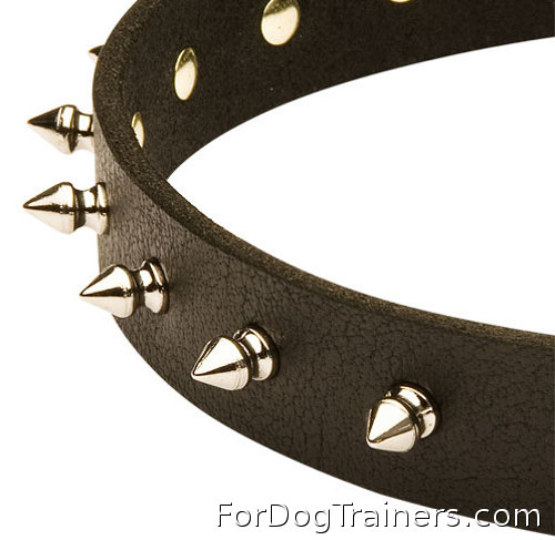 Black leather dog collar