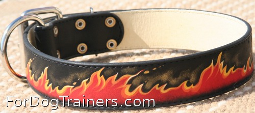 Cool flamy collar