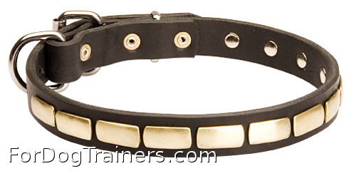 Perfect collar with plates