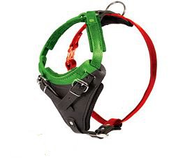 Sizing Diagram for
Leather Harness - H1