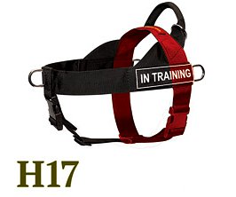 H17 Better Control Harness
Sizing Diagram