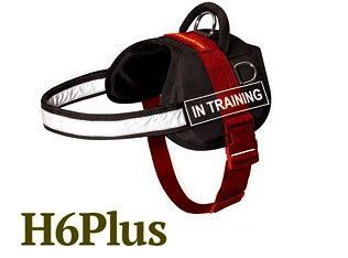 Sizing diagram for Nylon Dog Harness
- H6 plus