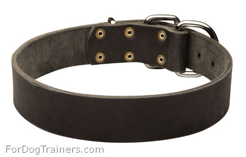 1.5 inch wide
Leather Dog Collar - C2