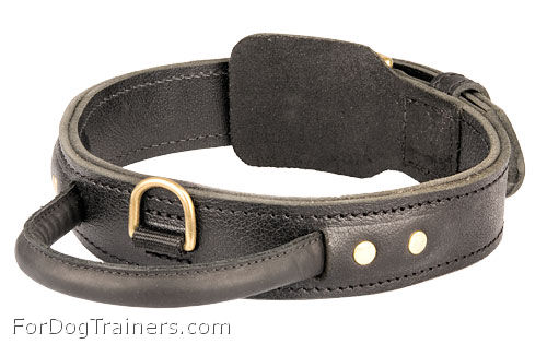 Dog collar made of leather with 2 ply leather and handle for agitation work ( dog training equipment )