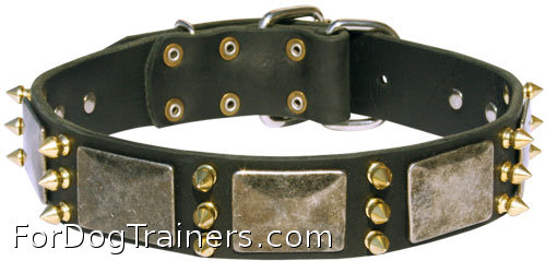 Gorgeous leather dog collar
