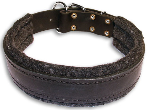 Dog collar made of leather with support material for agitation work ( dog training equipment )