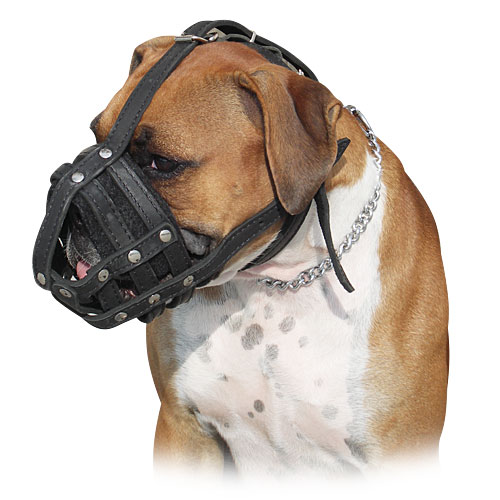 Leather muzzle for everyday use